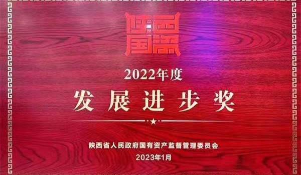 陕外集团荣获陕西省国资系统2022年度“发展进步奖”